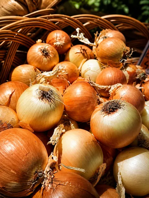 CEAPA GALBENA